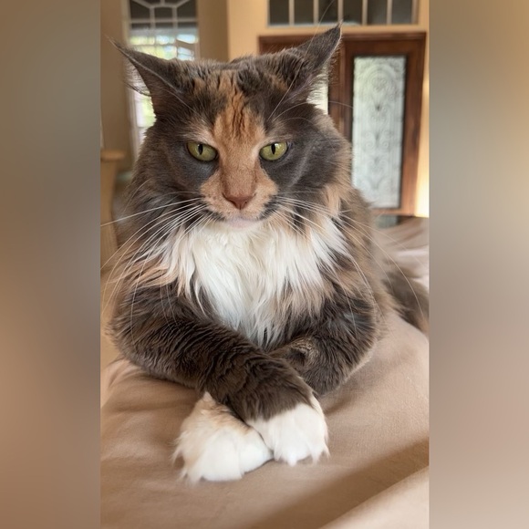 Meet Wendy, a Posh Ambassador! - Picture 7 of 16